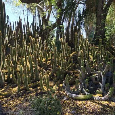 The Huntington Library, San Marino, CA